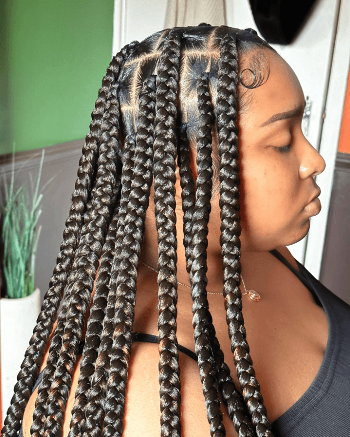 Structured Elegance Box Braids