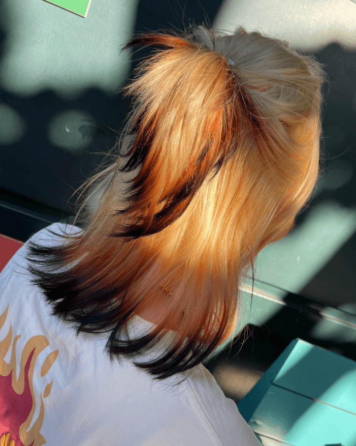 Fiery Fox Hair Flair