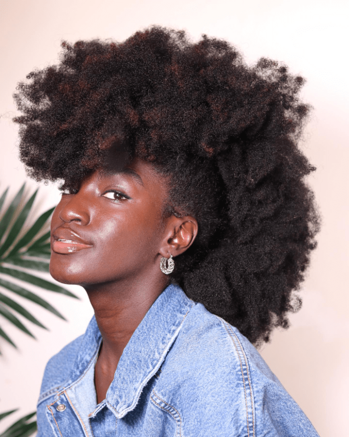 Boldly Natural Hair Elegance