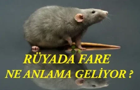 Rüyada Fare Görmek: Manevi Anlamı ve Yorumları