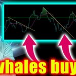 The last 5 times this happened, Bitcoin exploded (warning)