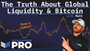 How the global liquidity drives Bitcoin price growth