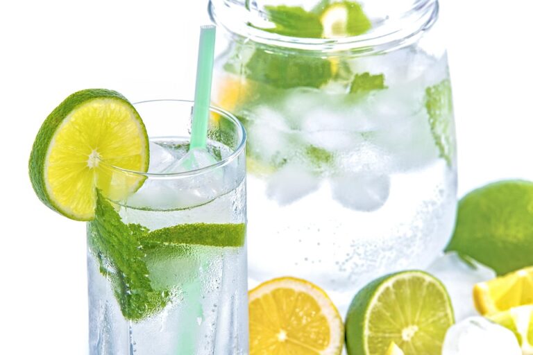 Press the day: refreshing recipes for homemade lemonade