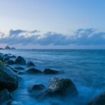 Bitcoin reaches new all -time high: What is behind the price increase?