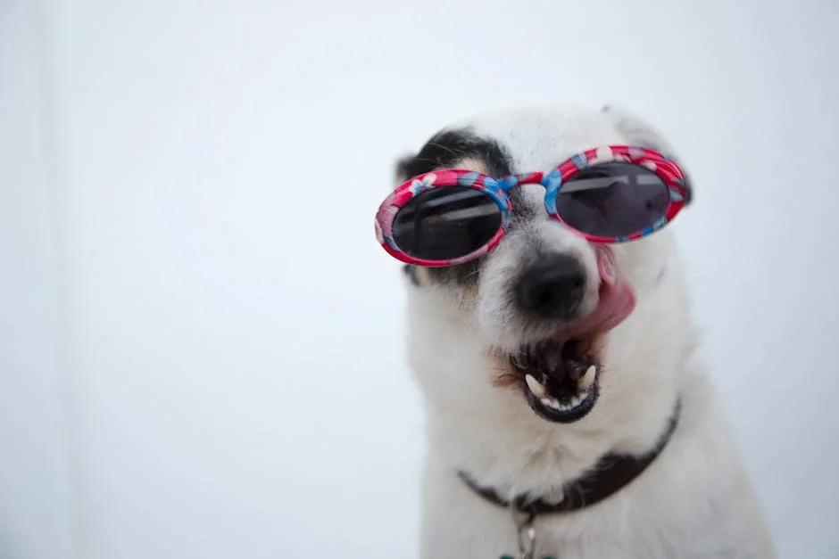 Explore a world of joy with hilarious animal pictures! 🐶🕶️ Let this adorable Jack Russell Terrier in pink sunglasses brighten your day with its playful charm. 🌟 #FunnyAnimalPictures