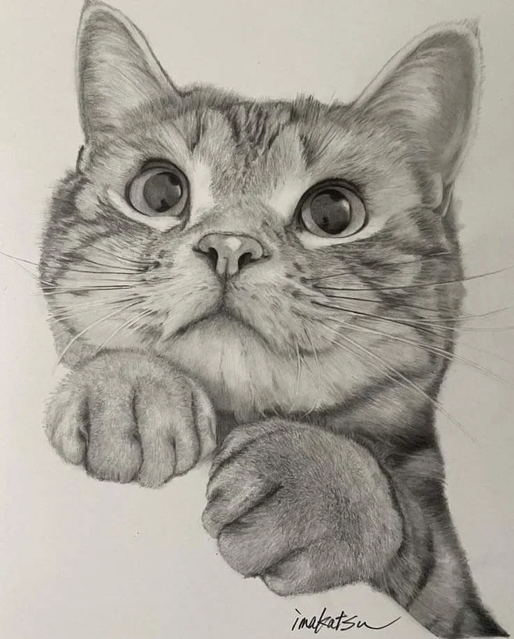 Admire the artistry in this realistic baby cat drawing. The intricate details capture the essence of feline charm, from the whiskers to the playful paw. Perfect for any cat lover